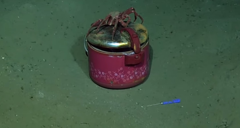 水深1200メートルの海底で「炊飯器」を発見！中を開けてみたら驚きの結果に！！