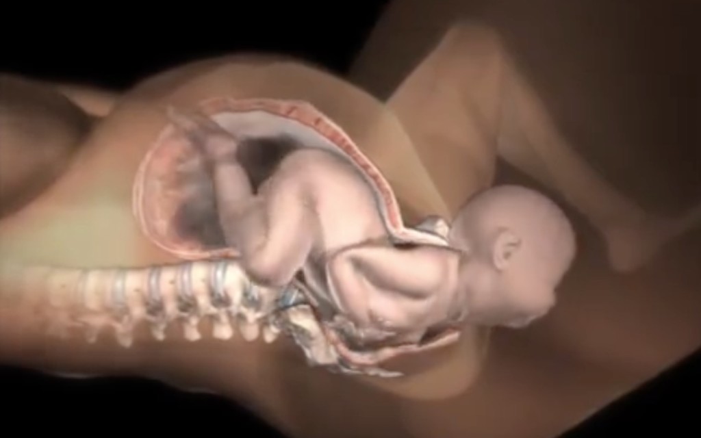 出産時の母体では何が起きている？ 分娩時の胎内の様子を可視化したアニメーション！！