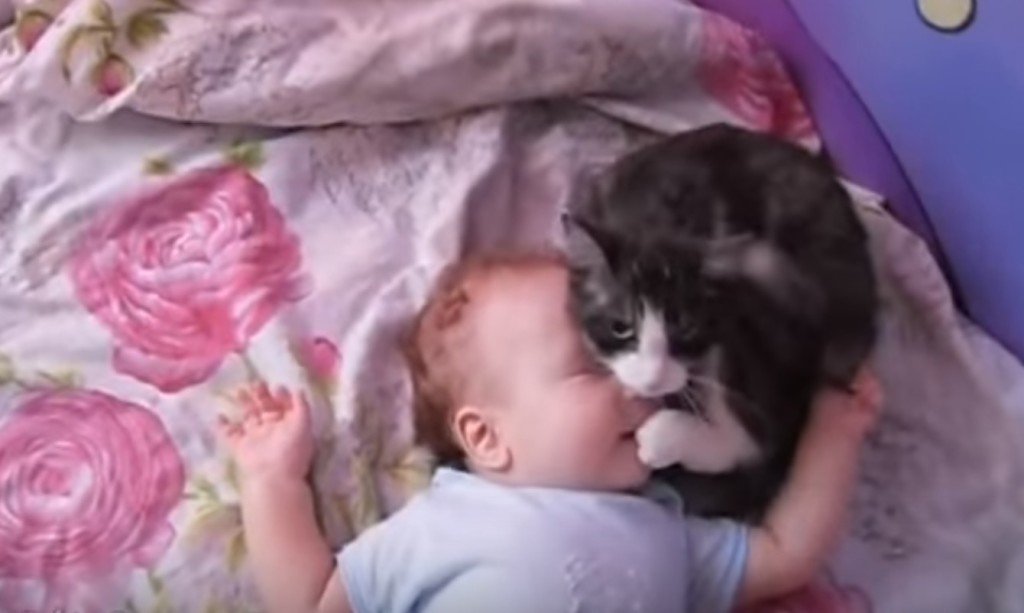 泣きそうな赤ちゃんに対する猫の行動が優しい＞＜