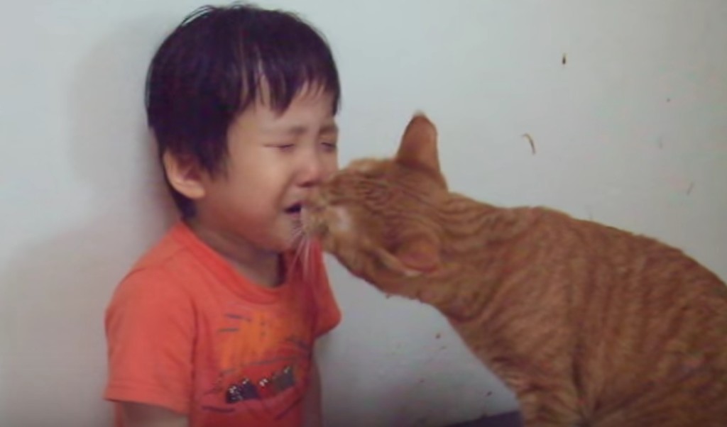 叱られて泣いている子供を慰める心優しい猫！！
