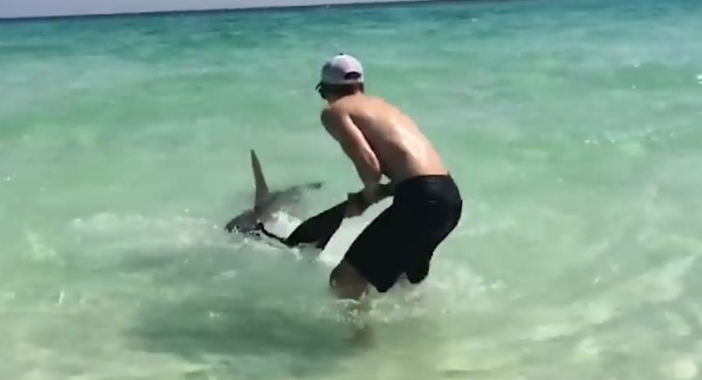 サメを砂浜まで引っ張る男性。ひどいと思いきや、その理由を知って感動！！