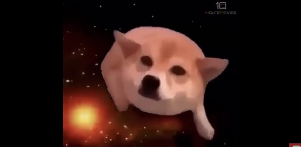 風呂の上でエア水かきする犬の動画が「宇宙犬」という10時間の動画になって海外で大人気に笑