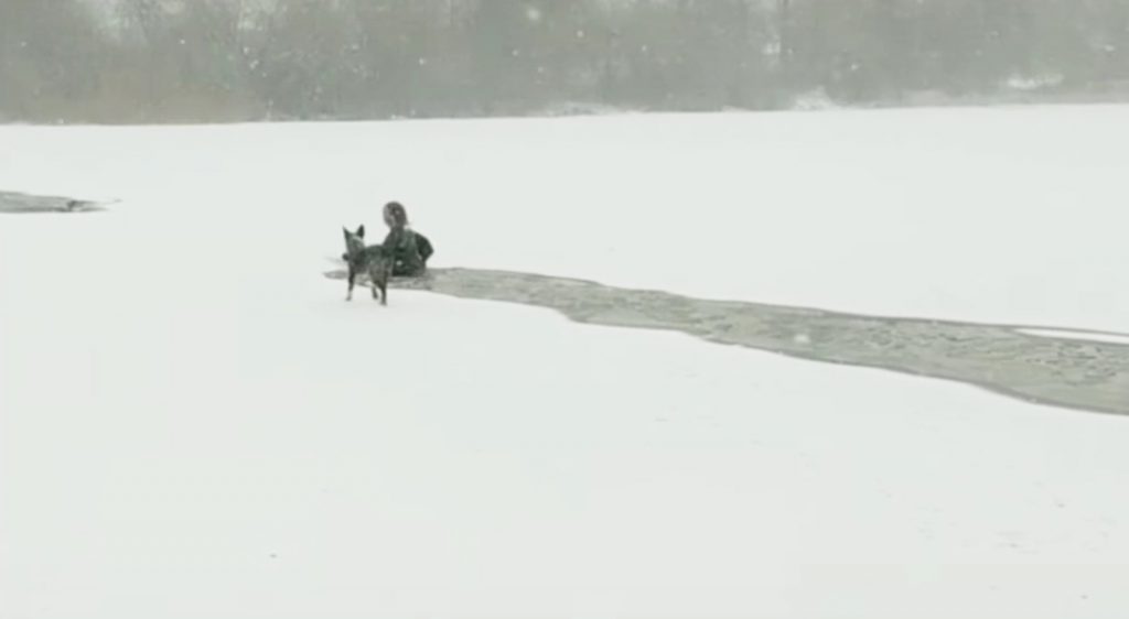 極寒の湖の真ん中で落ちた犬。一人の女性と一匹の犬が危険を顧みず救助に向かう！