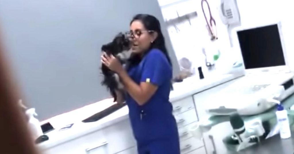 帰ったと見せかけてこっそり覗いたら、獣医さんが愛猫ととても癒される行動していたと話題に笑