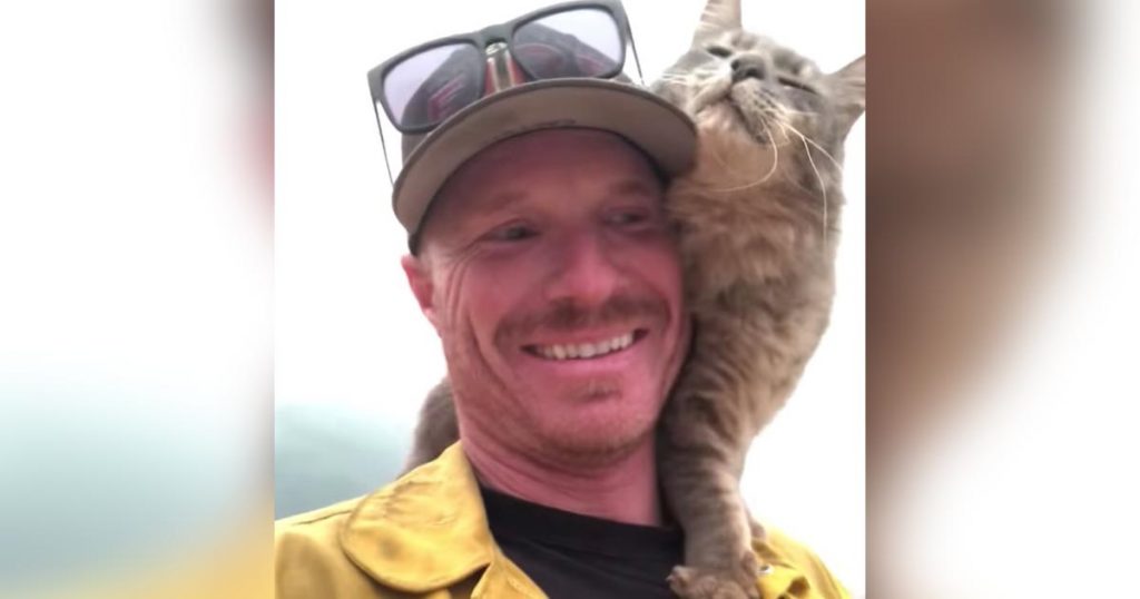 カリフォルニアの山火事で救助された猫。消防士さんにとても懐く様子が話題に！「これが私が税金を払う理由です」の声