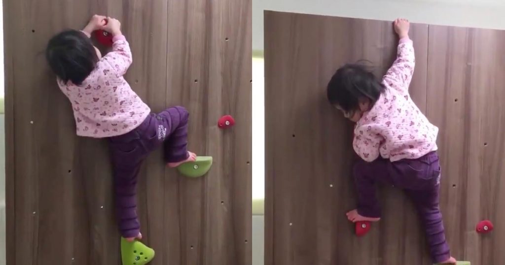 【日本】垂直ハイハイ！ボルダリングでテクニックを使ってスイスイと登っていってしまう2歳の女の子が凄いと話題に！