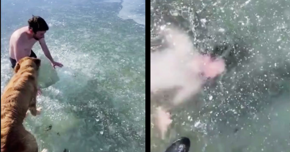 分厚い氷の下を泳いだ男性が、出口の穴を見失ってしまう動画が見ているだけで息苦しい！
