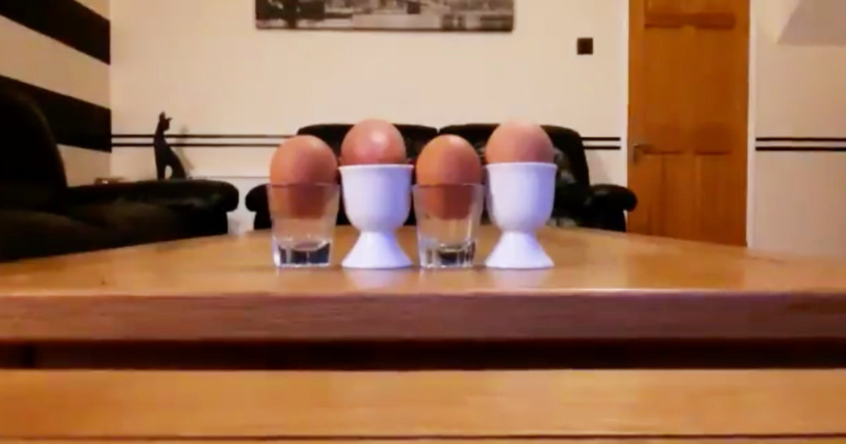 一見ただの卵。しかし5秒後に爆笑「今世界で最も過酷な国イタリアの友人から送られてきた動画です」