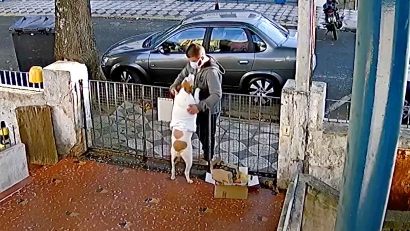 【神対応】防犯カメラに映った愛犬にひどいことをする男。しかし、その後愛に溢れる男性に救われる！