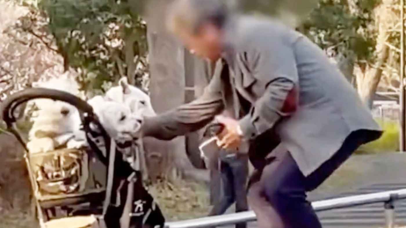 【日本】写真映えさせたい男性が犬にとった行動がひどすぎると物議！